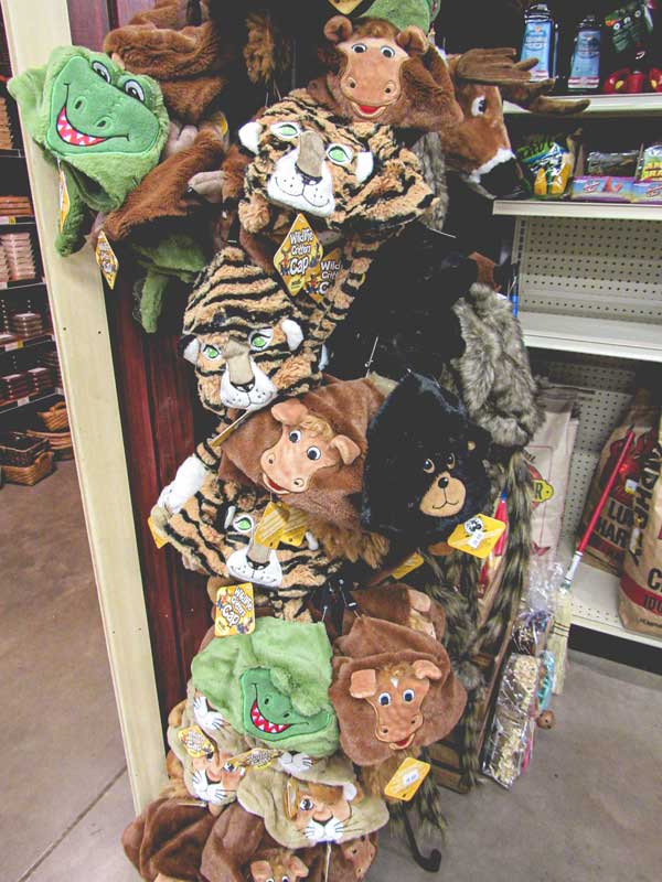 Pictures of random toys in slideshow